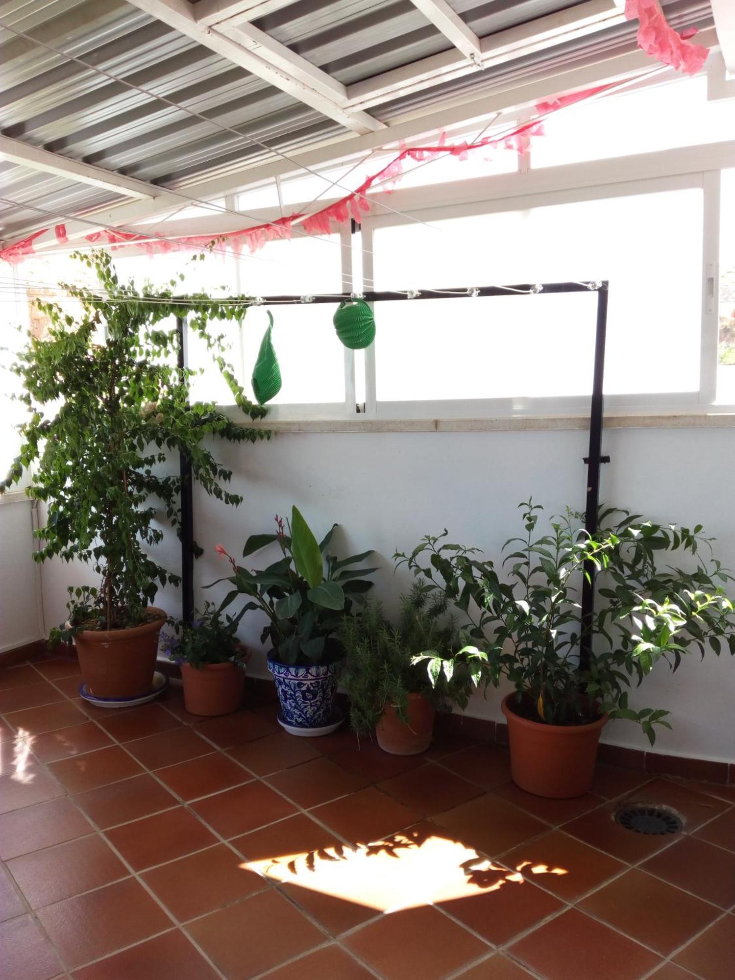Hostal Rural Montual Los Baños エクステリア 写真